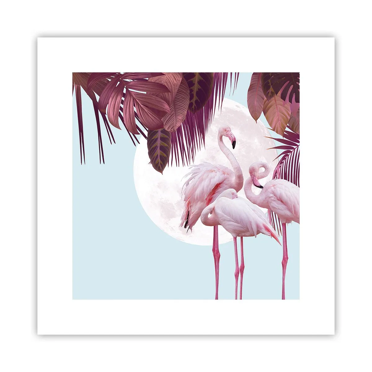 Plakát - Tři ptačí grácie - 30x30 cm