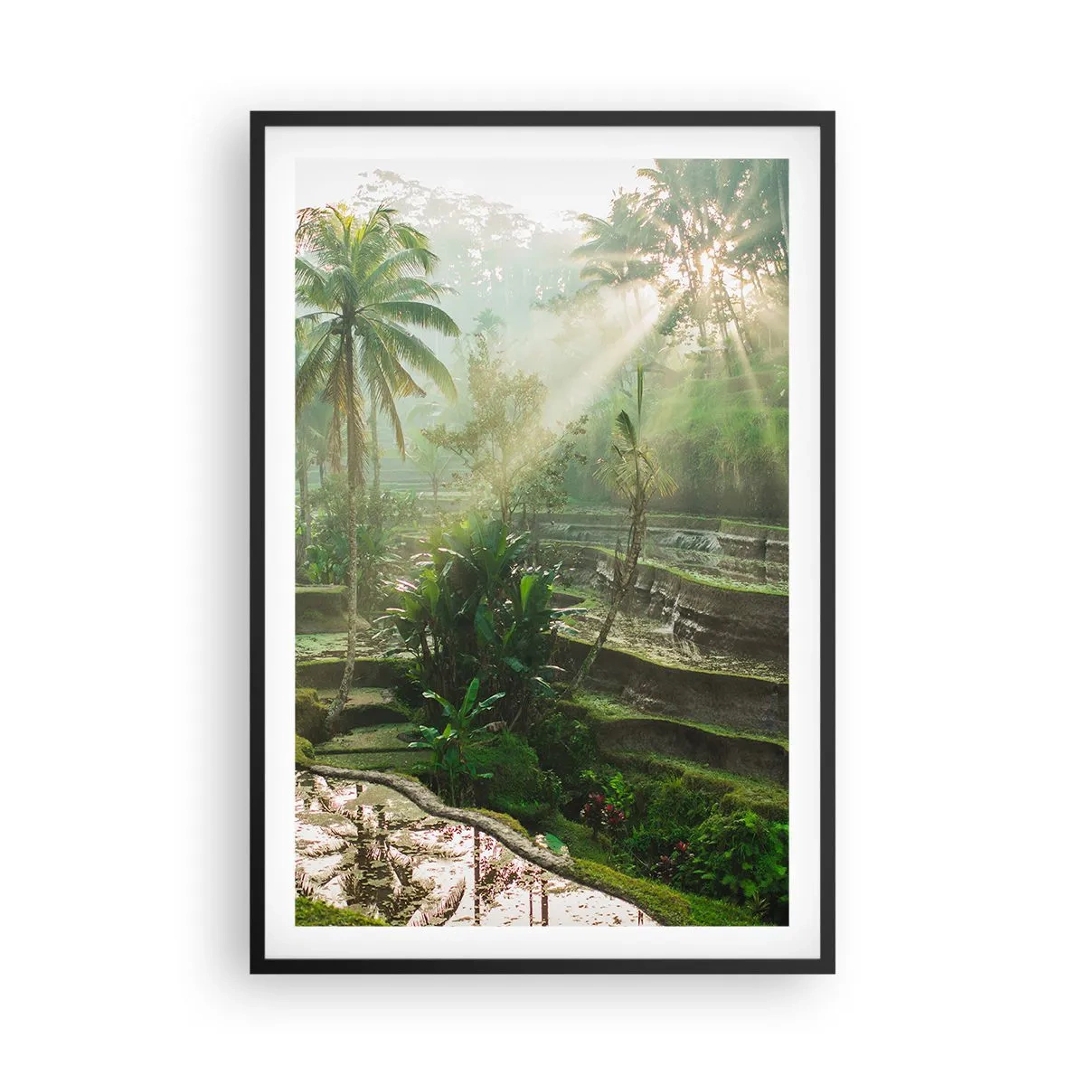 Plakát v černém rámu - Vyrůstát na slunci - 61x91 cm