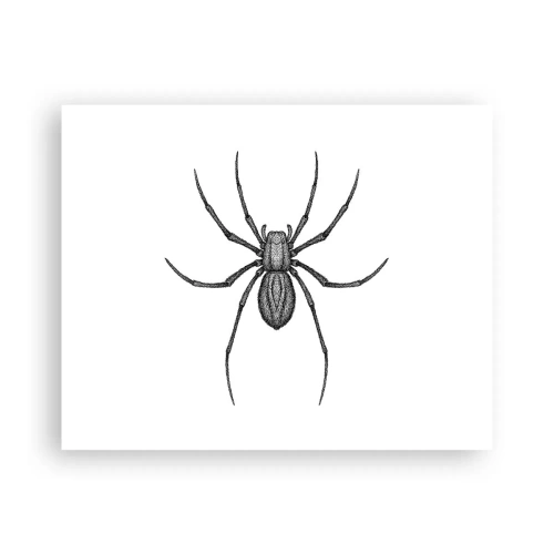 Plakát - Znepokojivá přesnost - 50x40 cm