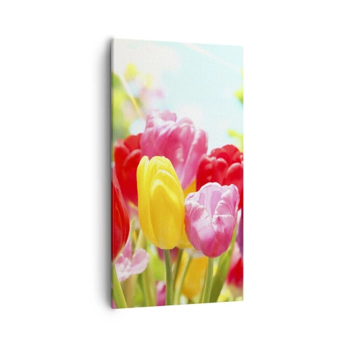 Obraz na plátně - To jsme my, barvy května! - 55x100 cm