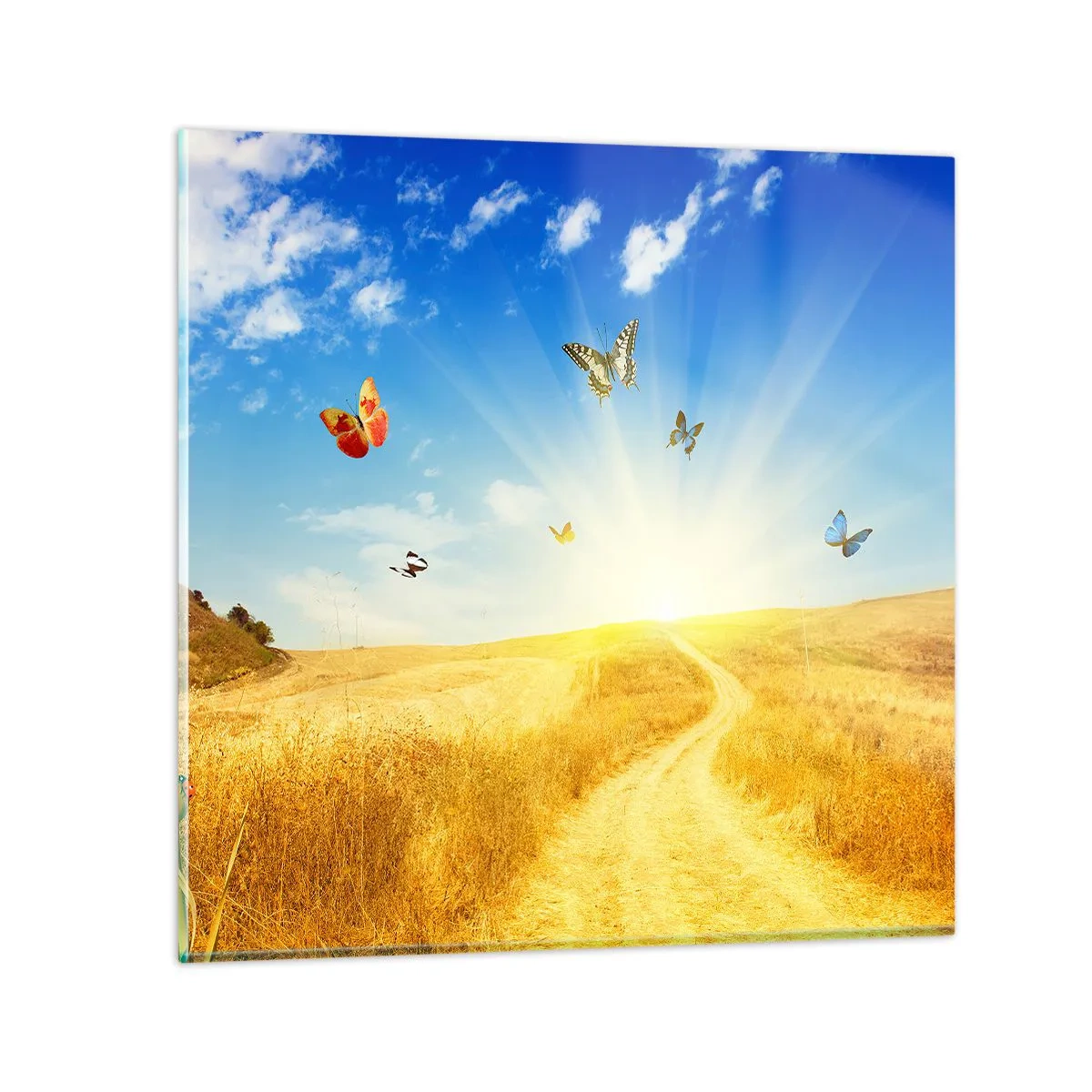 Obraz na skle - Jak nemilovat léto? - 60x60 cm