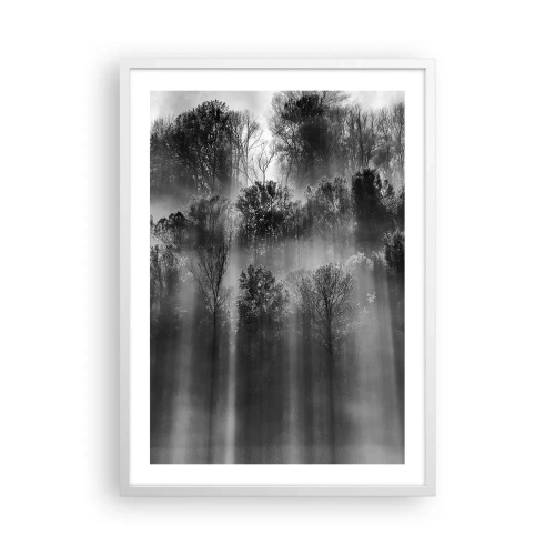 Plakát v bílém rámu - V paprscích světla - 50x70 cm