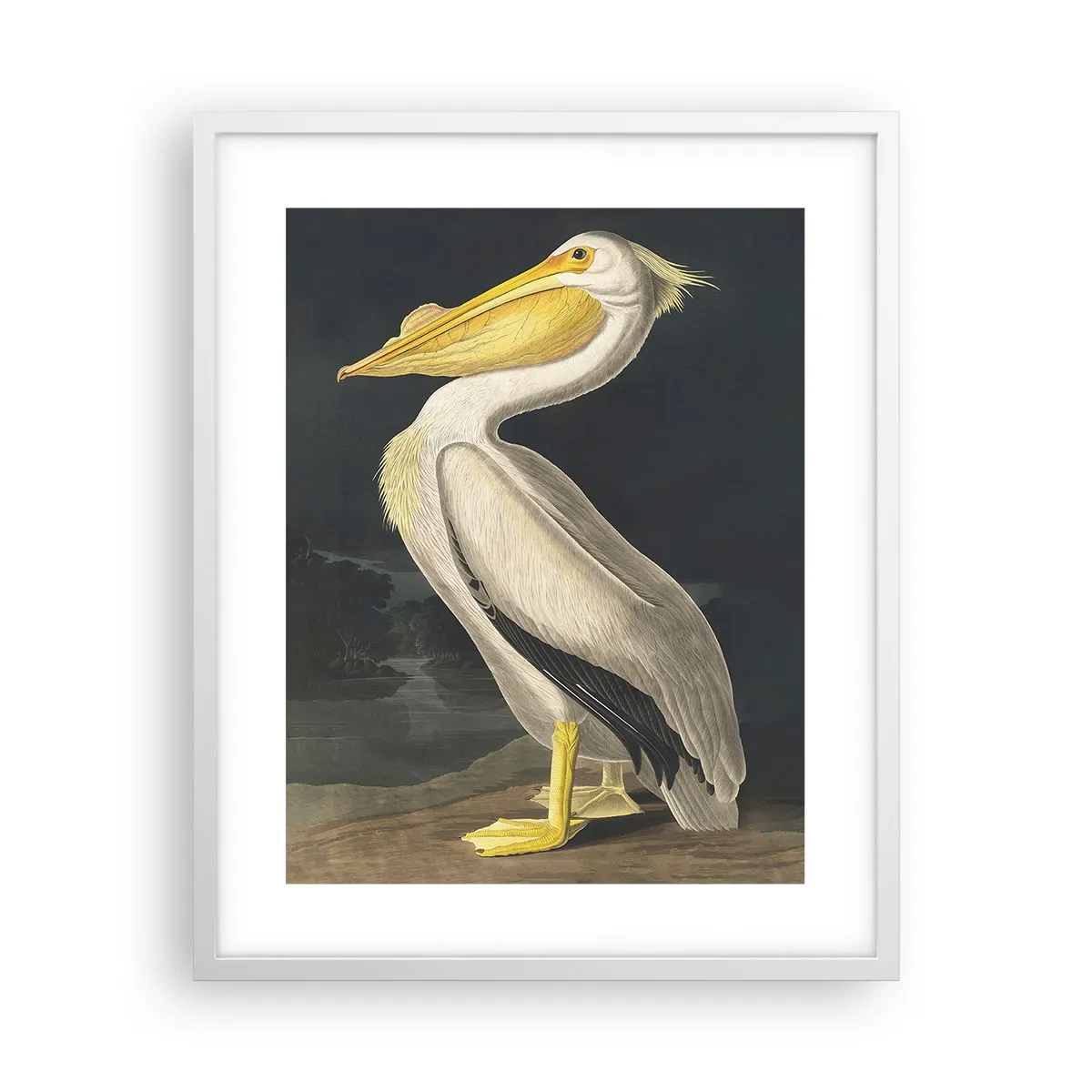 Plakát v bílém rámu - Plný hrdosti - 40x50 cm