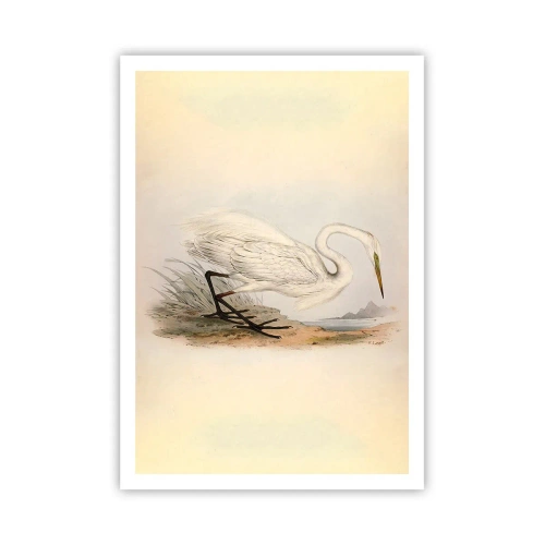 Plakát - Paní rákosin - 70x100 cm