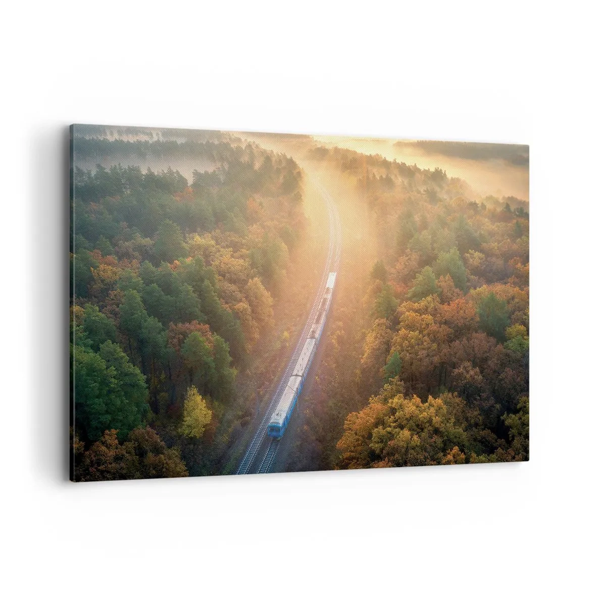 Obraz na plátně - Podzimní cesta - 100x70 cm