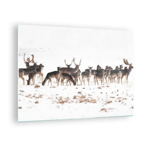 Obraz na skle - Fotografie stáda jelenů v zasněžené krajině - 70x50cm - Budou svátky? - Moderní nástěnná dekorace do obývacího pokoje a ložnice ARTTOR
