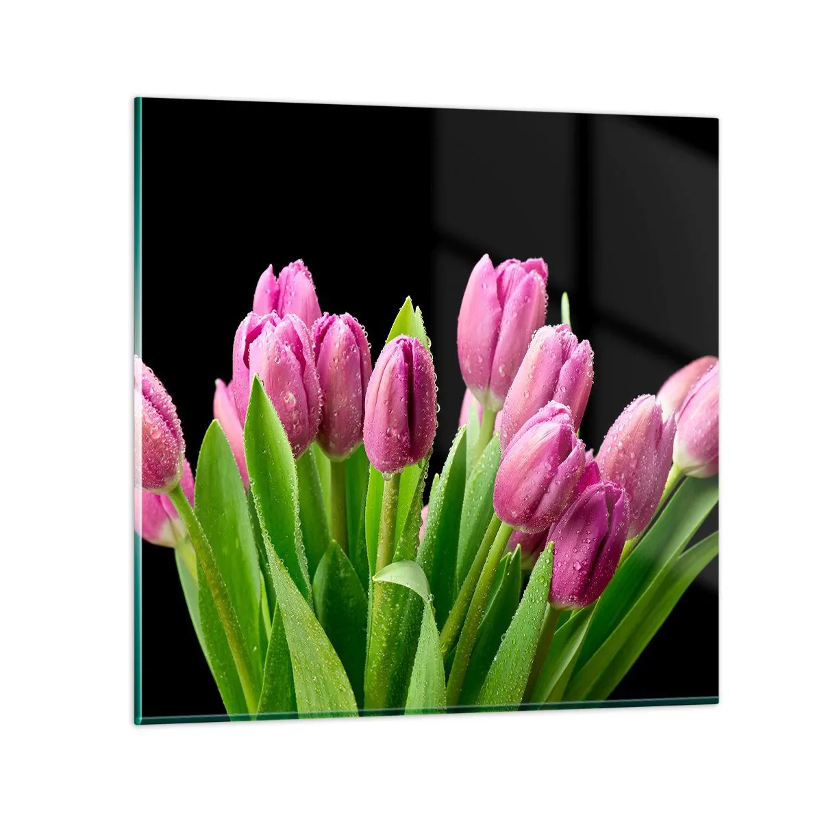 Obraz na skle - Liliové potěšení jara - 70x70 cm