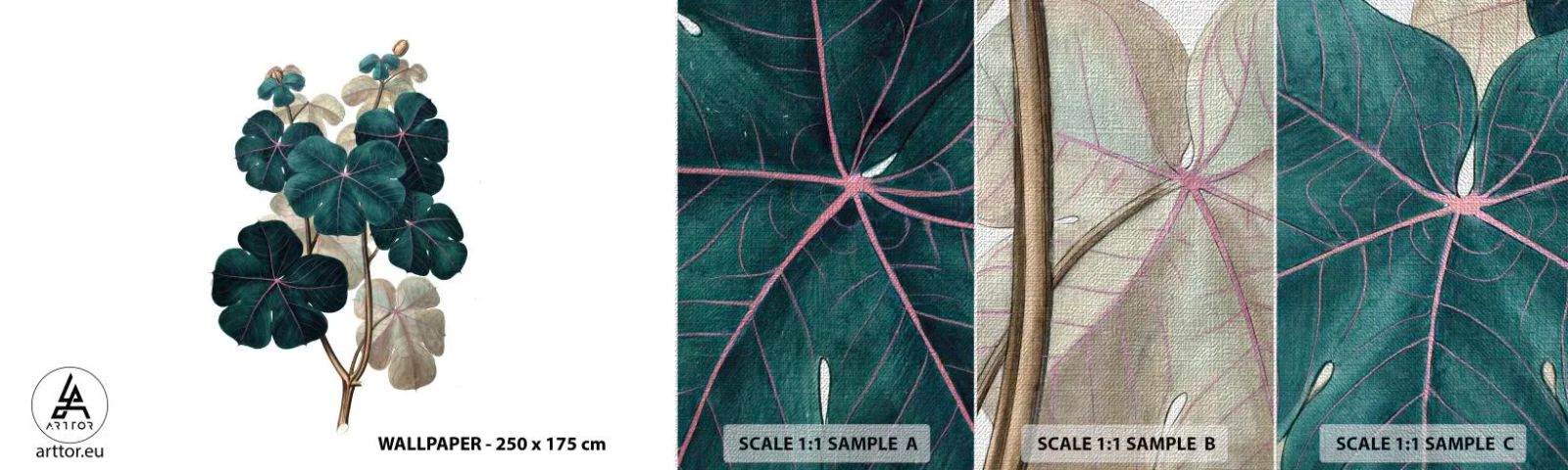 Vzor Fototapety Premium Canvas - Ze starého herbáře - Rostlina, Listy, Botanika - 100x30 cm