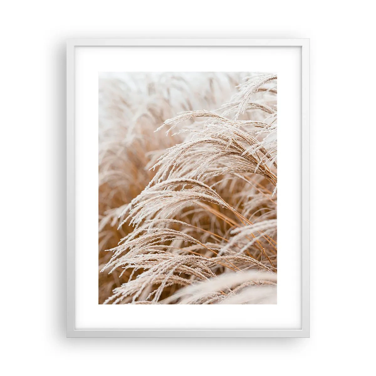 Plakát v bílém rámu - Klanění podzimnímu slunci - 40x50 cm