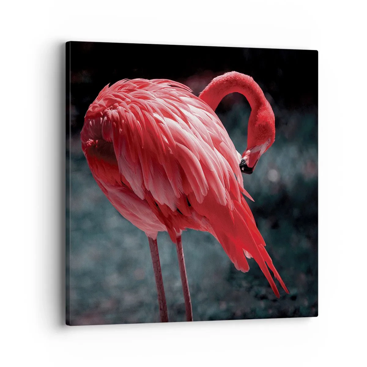 Obraz na plátně - Karmínová báseň přírody - 40x40 cm