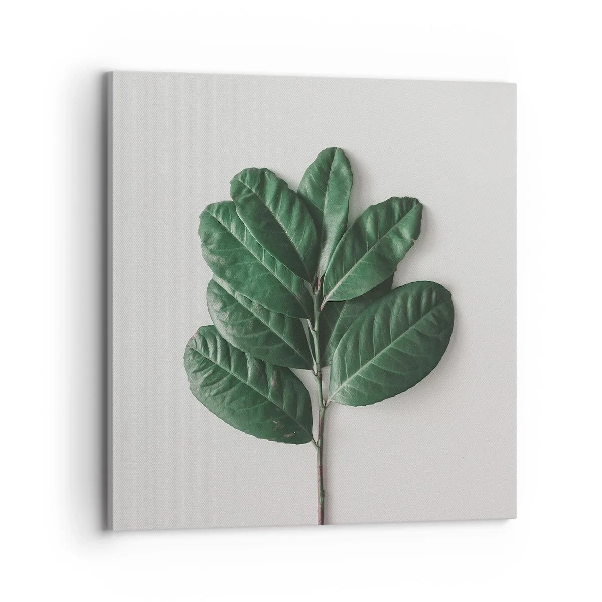 Obraz na plátně - Kresba samotné přírody - 70x70 cm