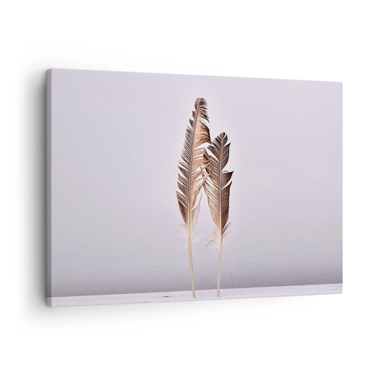 Obraz na plátně - Jemné peří na světlém pozadí v minimalistickém stylu - 70x50cm - Proti nicotě - Moderní nástěnná dekorace do obývacího pokoje a ložnice ARTTOR
