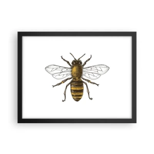 Plakát v černém rámu - Krásná a dobrá - 40x30 cm