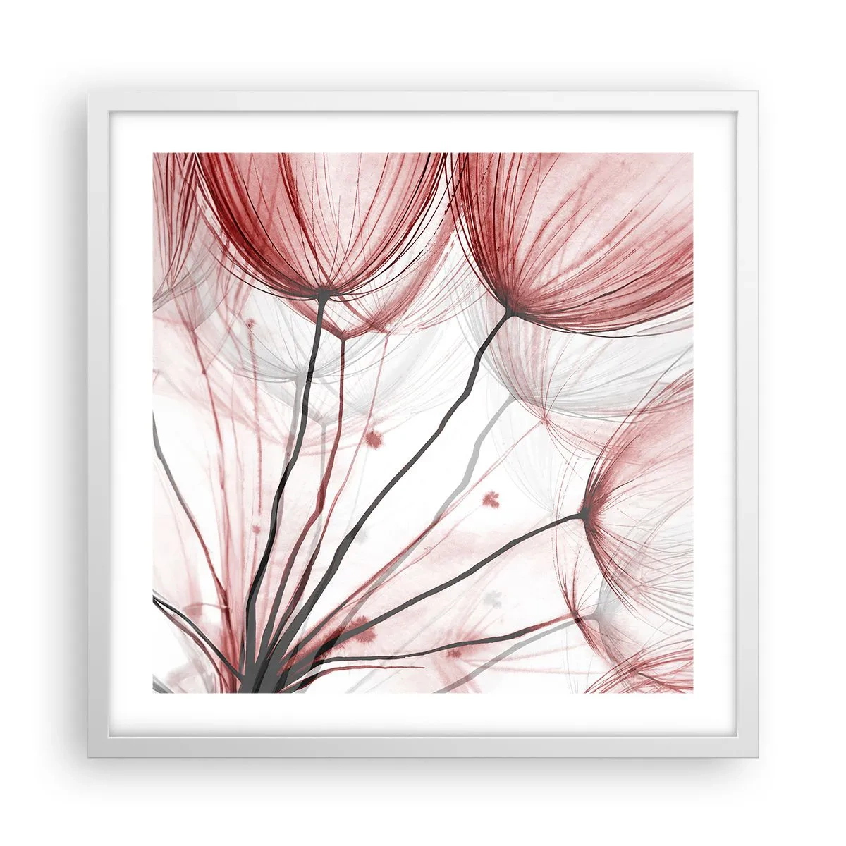 Plakát v bílém rámu - Před odletem - 50x50 cm