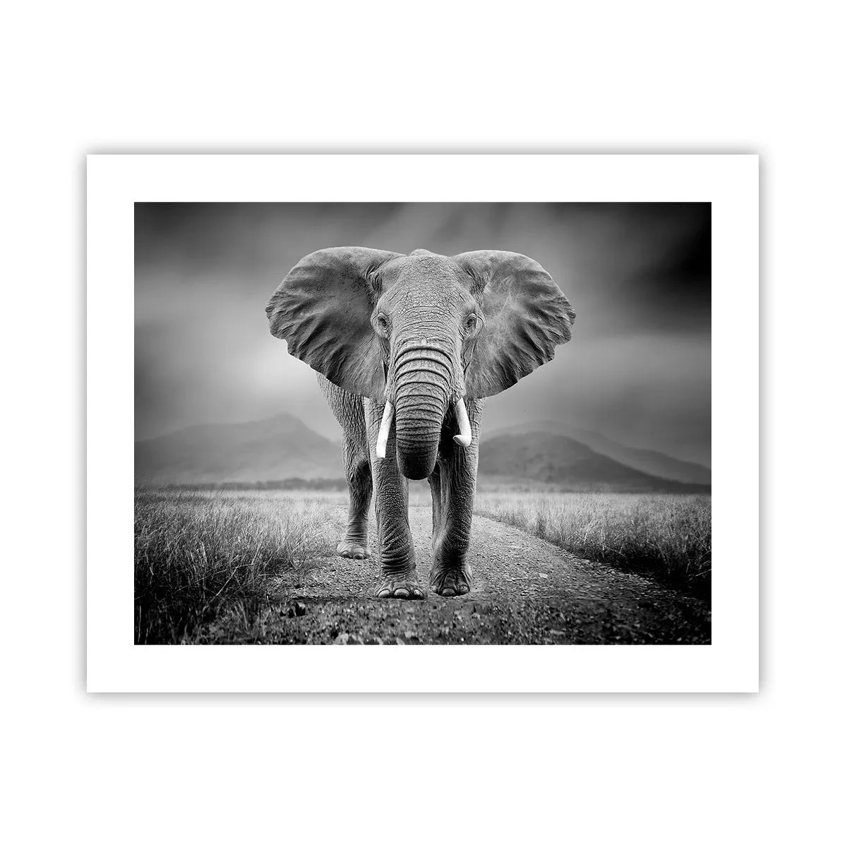 Plakát - Hostitel vítá - 50x40 cm