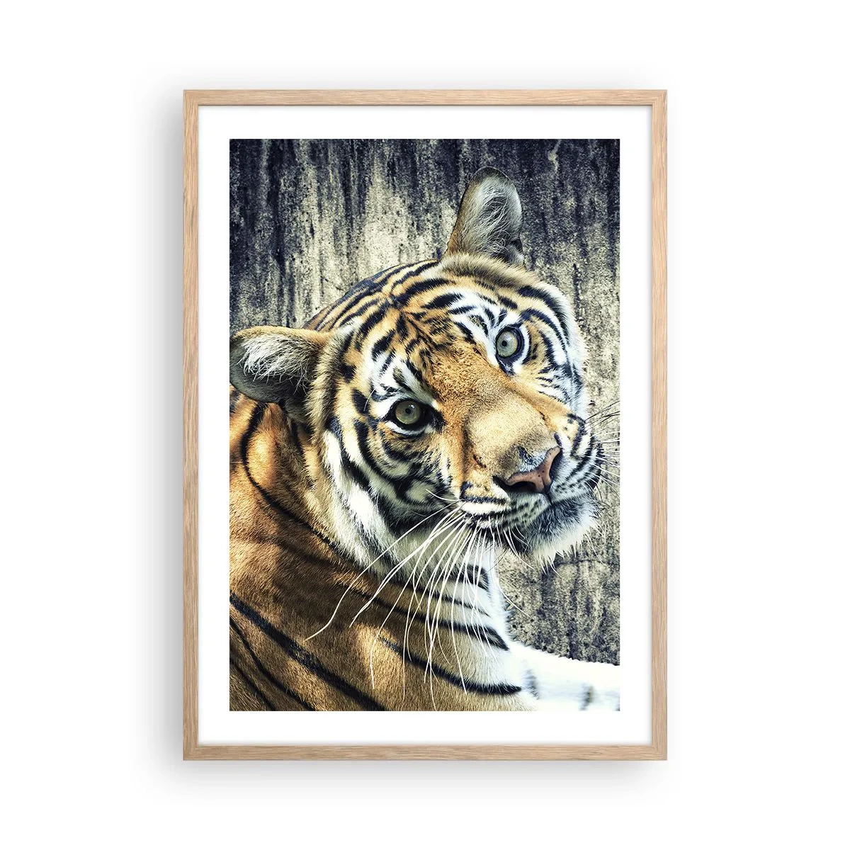 Plakát v rámu světlý dub - Portrét v pramenech světla - 50x70 cm