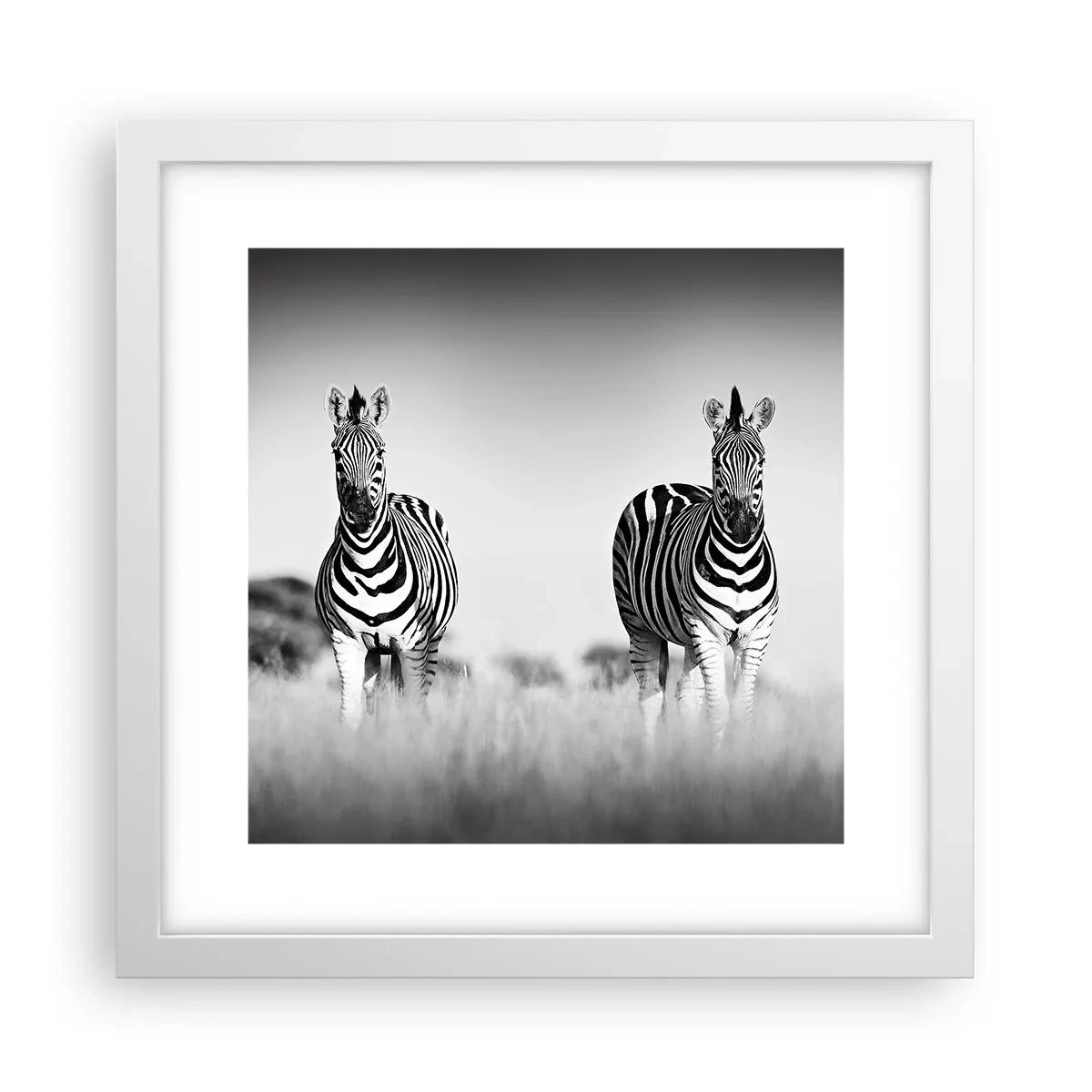 Plakát v bílém rámu - A přesto je svět černo-bílý - 30x30 cm