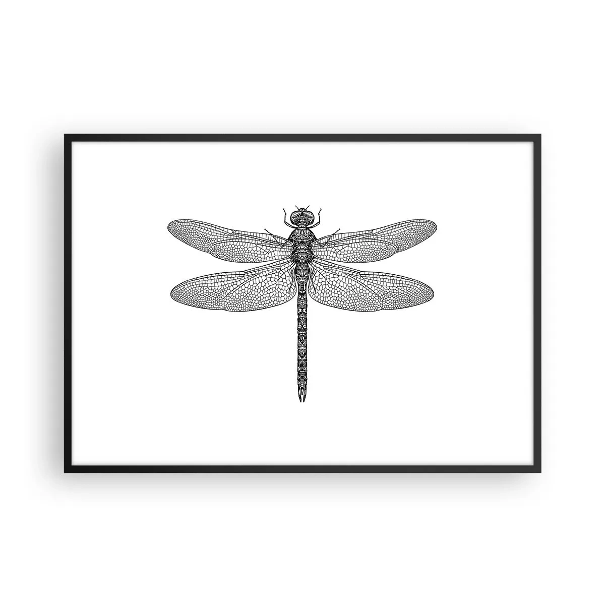 Plakát v černém rámu - Přesnost přírody - 100x70 cm