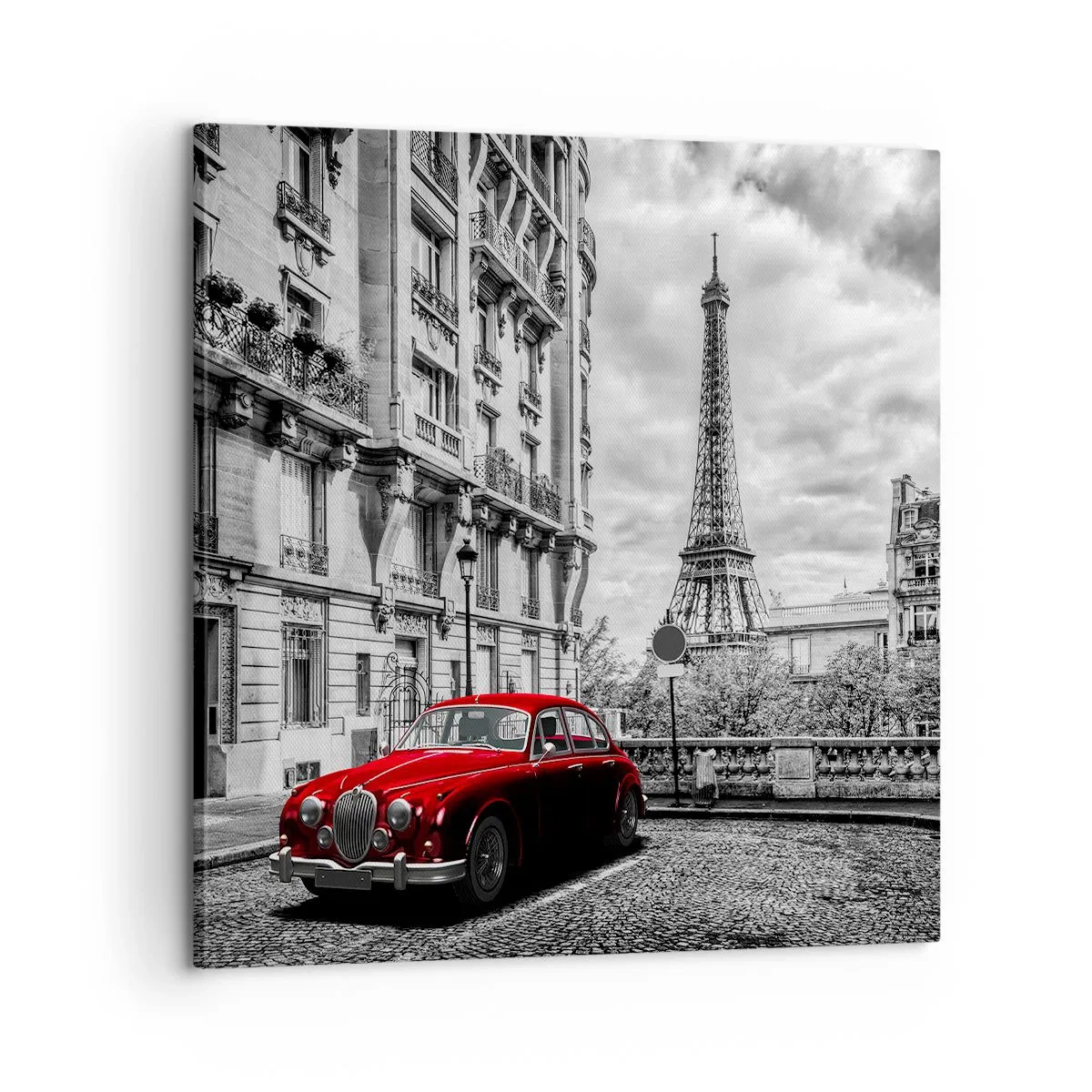 Obraz na plátně - Dravec ve městě - 60x60 cm