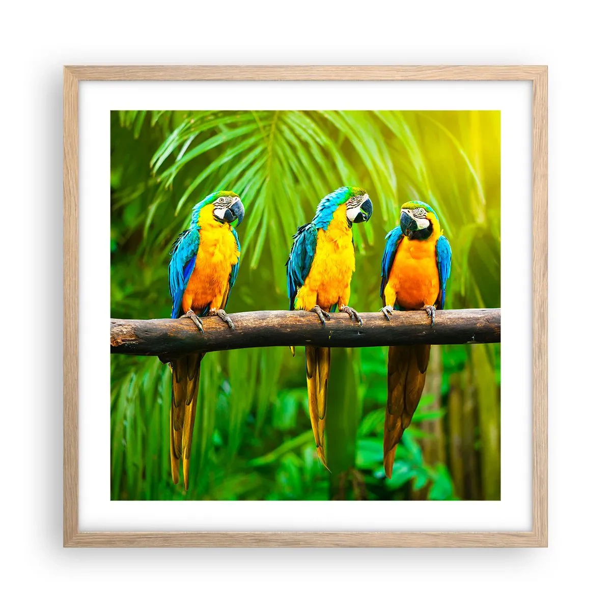 Plakát v rámu světlý dub - Slyšela jsi, že ona…? - 50x50 cm