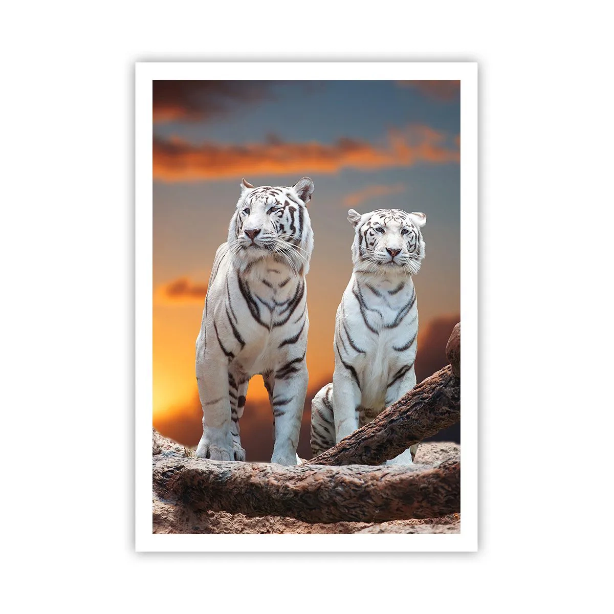 Plakát - Úplně jako v Narnii - 70x100 cm