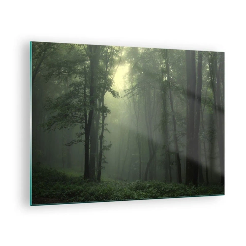 Obraz na skle - Temný les zahalený v mlze s paprsky světla - 70x50cm - Než se probudí - Moderní nástěnná dekorace do obývacího pokoje a ložnice ARTTOR