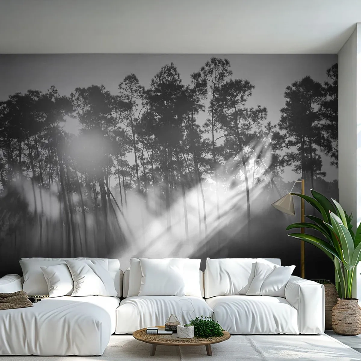 Fototapeta Premium Canvas - Nezastavitelné slunce - Krajina, Les, Příroda - 250x175 cm