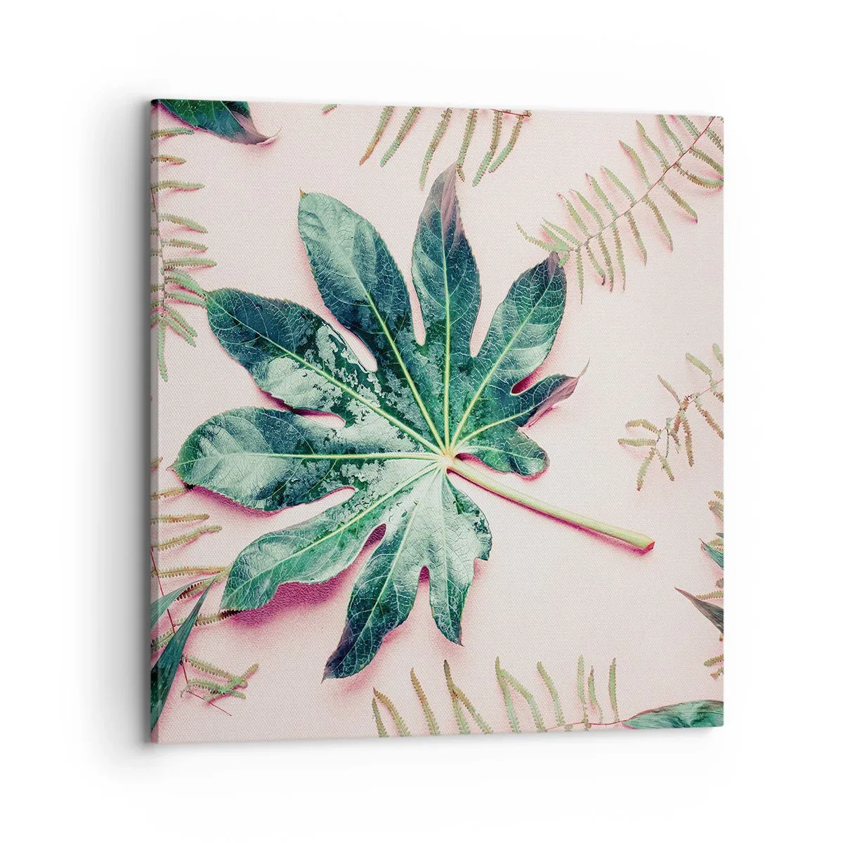 Obraz na plátně - Studie zelené na růžovém pozadí - 70x70 cm