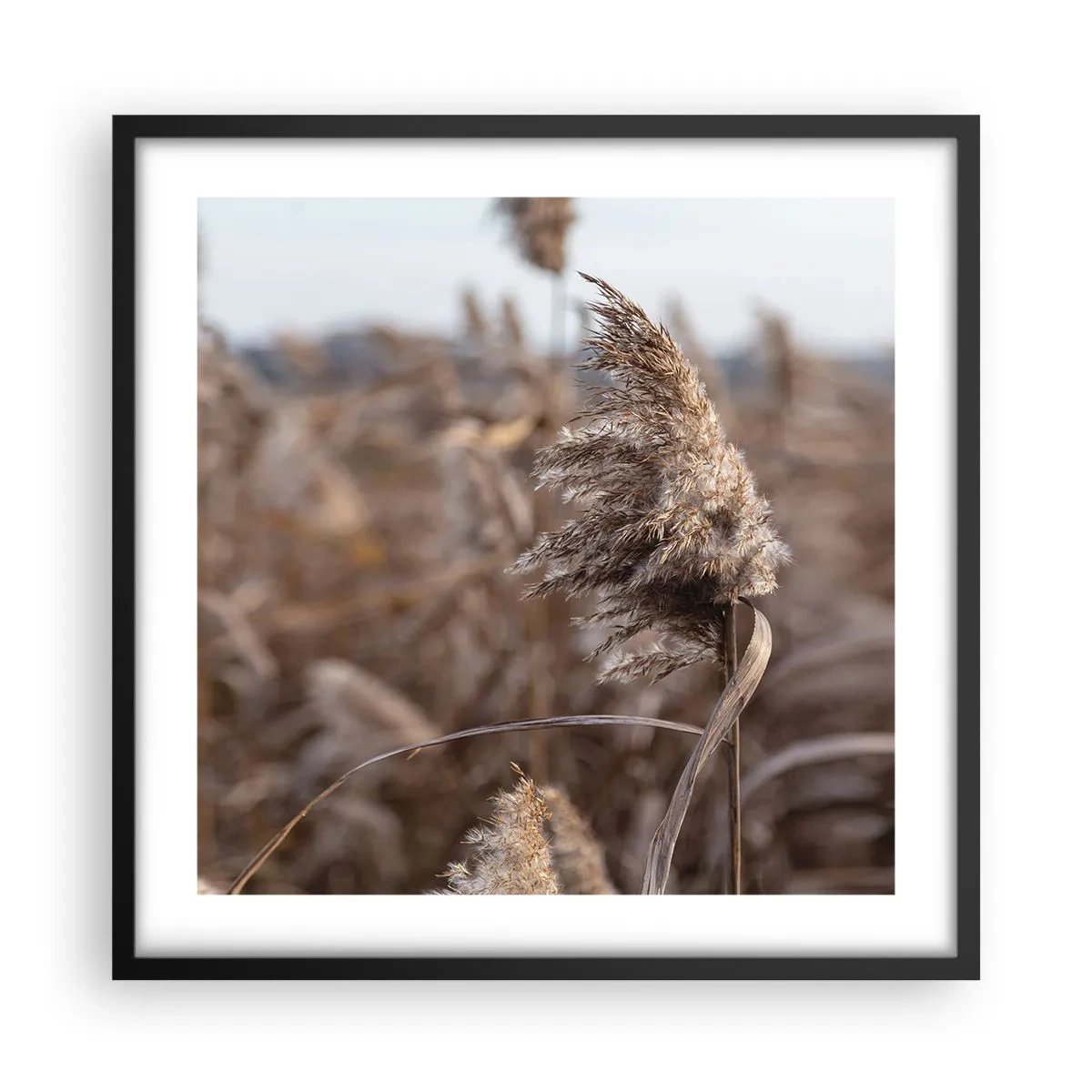 Plakát v černém rámu - Čas odletět s větrem - 50x50 cm