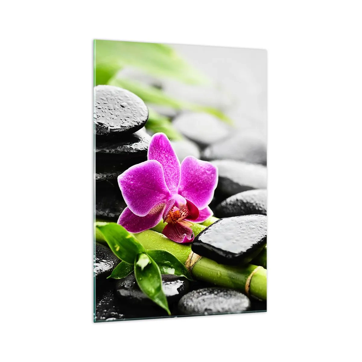 Obraz na skle - V klidné rovnováze - 70x100 cm