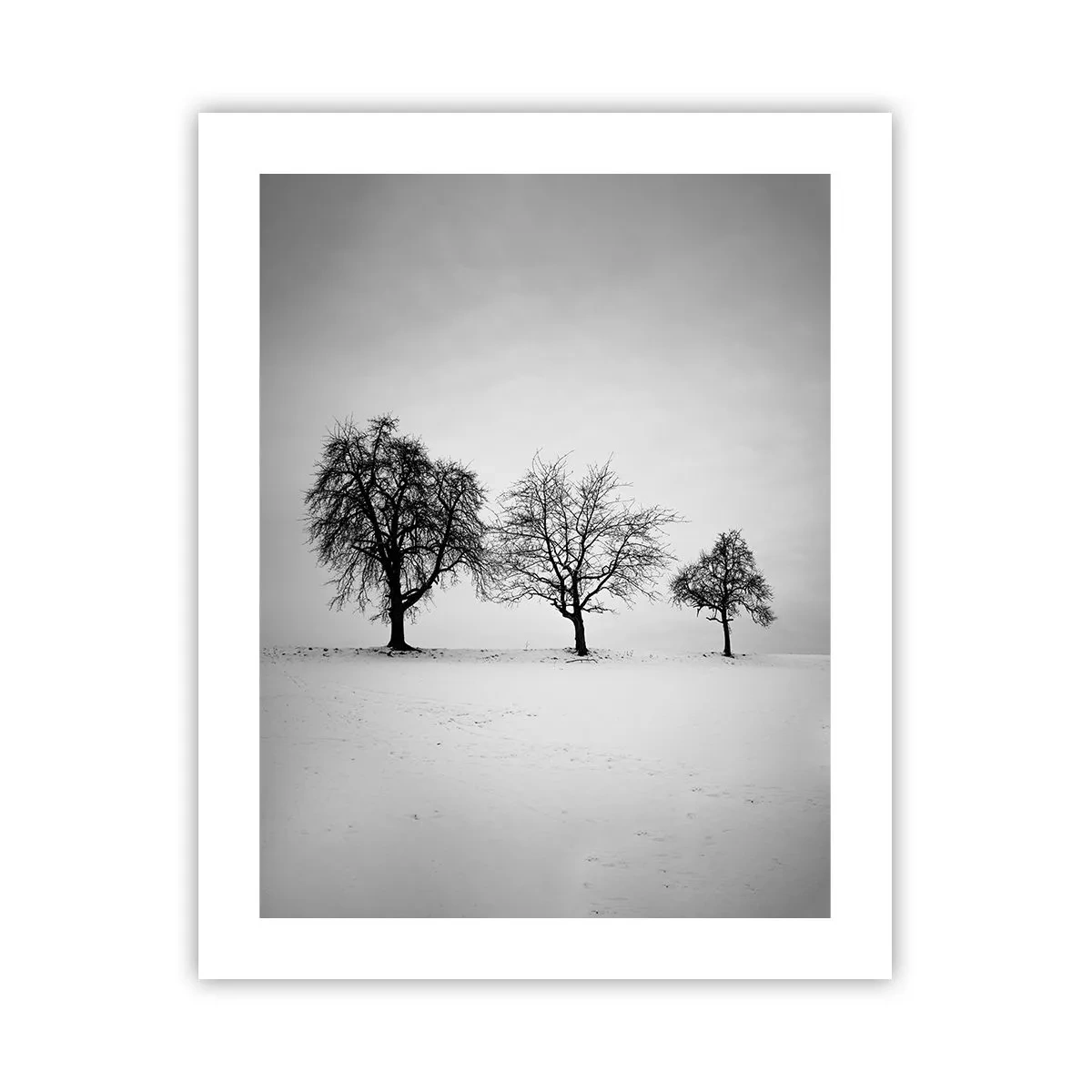 Plakát - O čem sní? - 40x50 cm