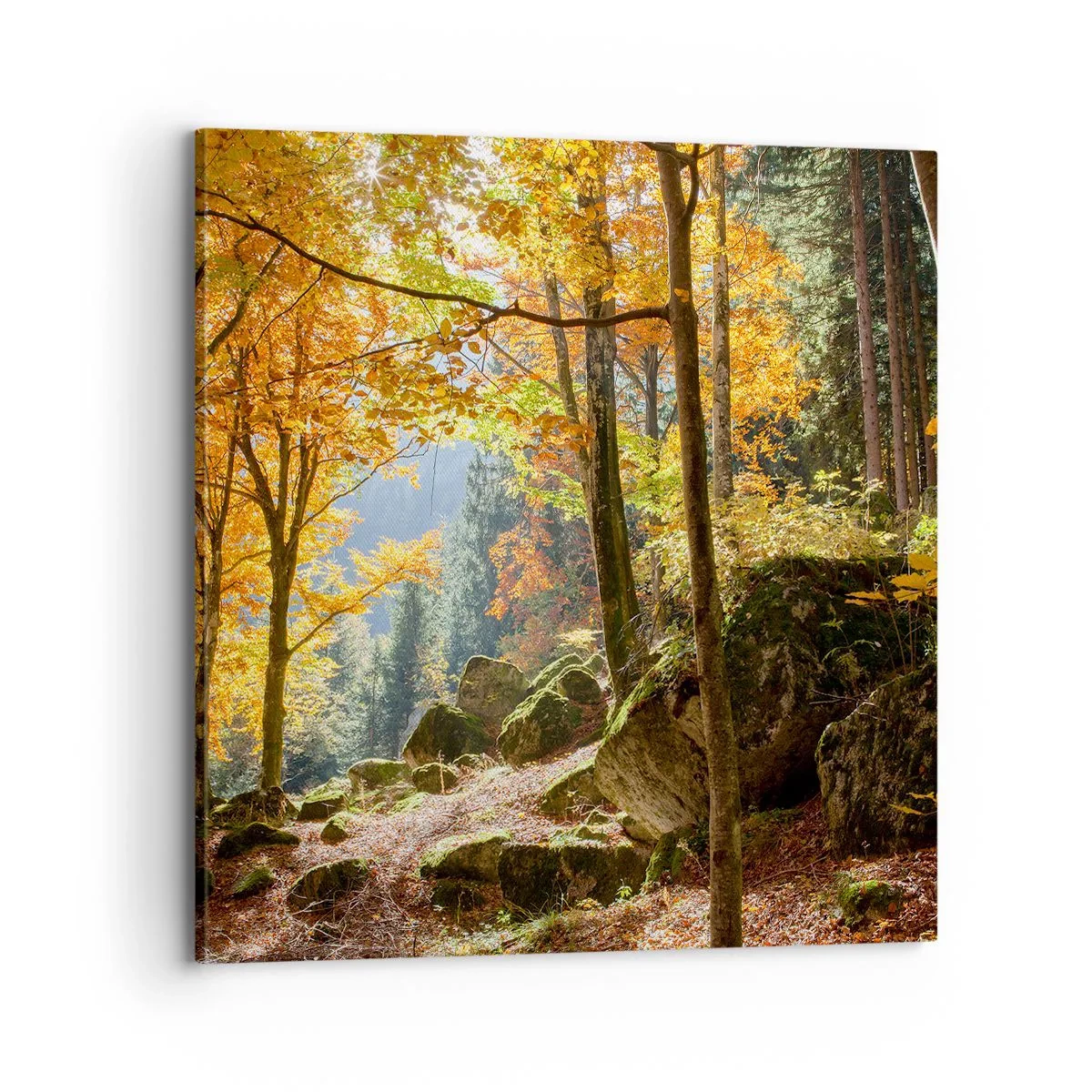 Obraz na plátně - Čas na odpočinek - 70x70 cm