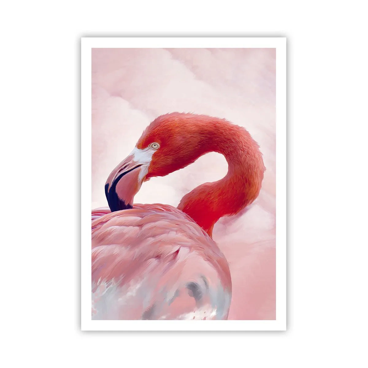 Plakát - Ptačí krása - 70x100 cm