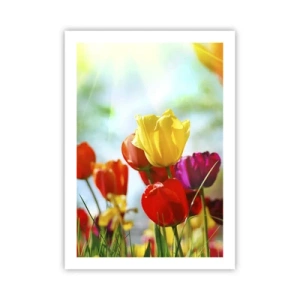 Plakát - Všechny barvy slunce - 50x70 cm