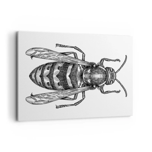 Obraz na plátně - Z hmyzí planety - 100x70 cm