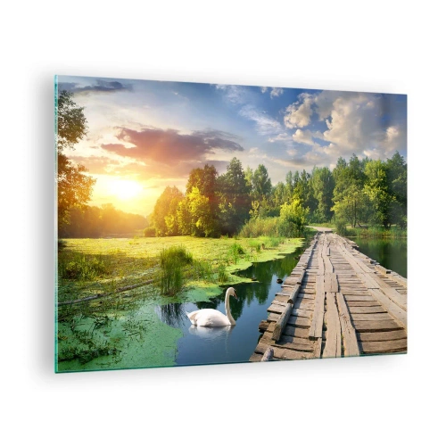 Obraz na skle - Dřevěné molo nad jezerem s labutí při západu slunce - 70x50cm - Léto, léto všude - Moderní nástěnná dekorace do obývacího pokoje a ložnice ARTTOR