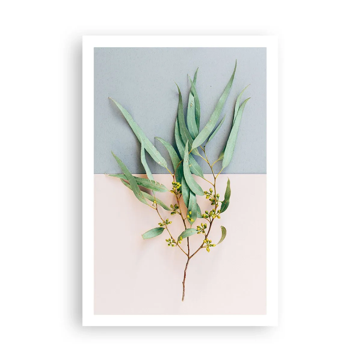 Plakát - Pastelová jemnost - 61x91 cm