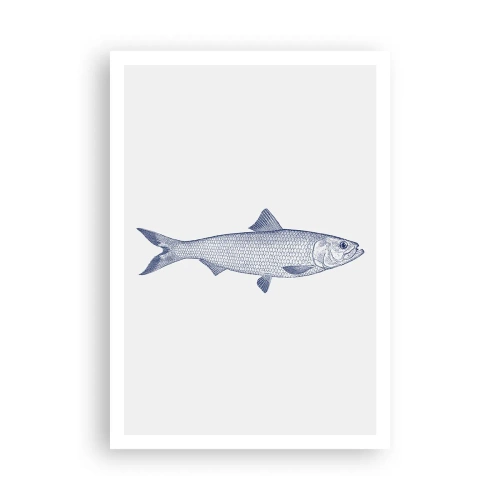 Plakát - Pozdravy ze severních moří - 70x100 cm