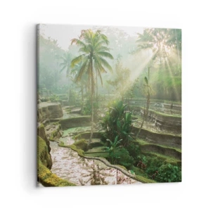 Obraz na plátně - Vyrůstát na slunci - 50x50 cm