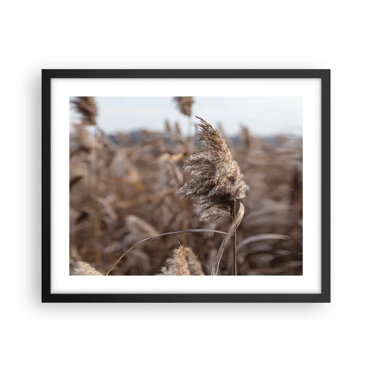 Plakát v černém rámu - Čas odletět s větrem - 50x40 cm