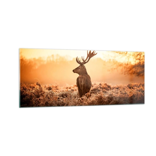Obraz na skle - Pán na panství - 100x40 cm