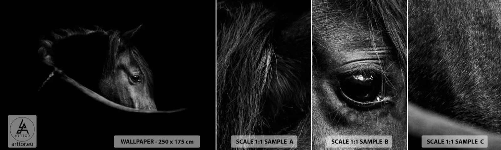 Vzor Fototapety Samolepicí Deluxe Sticker - Černý kníže - Kůň, Zvíře, Umělecký - 100x30 cm