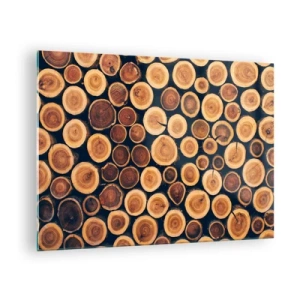 Obraz na skle - Pohled na pořezané kmeny stromů uspořádané v řadě - 70x50cm - Na kolik vypadám? - Moderní nástěnná dekorace do obývacího pokoje a ložnice ARTTOR