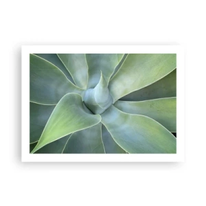 Plakát - Zrození zeleně - 70x50 cm