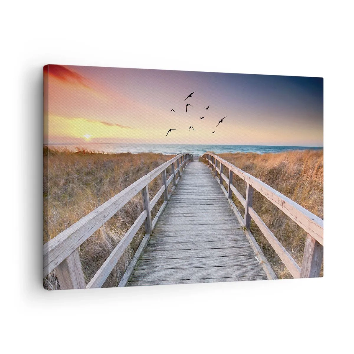 Obraz na plátně - Prostor pro vzestupy - 70x50 cm