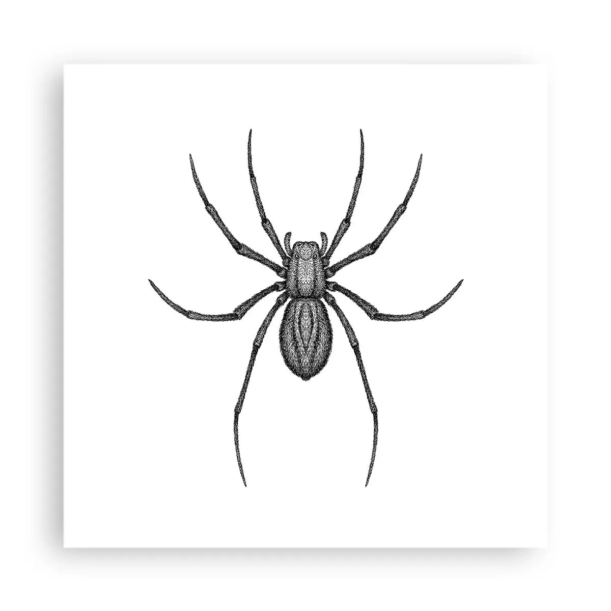 Plakát - Znepokojivá přesnost - 40x40 cm