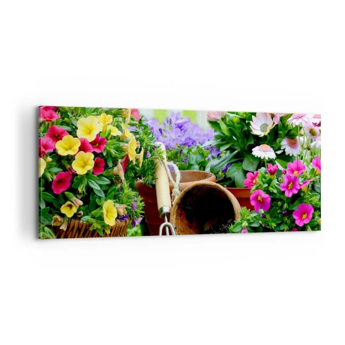 Obraz na plátně - Zahrádka Žofky - 100x40 cm