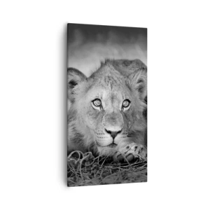 Obraz na plátně - Královské štěně - 55x100 cm