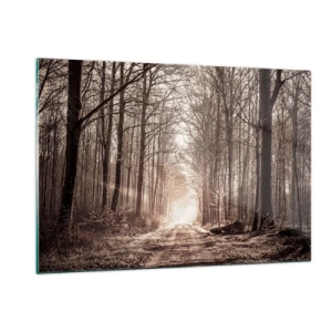 Obraz na skle - Lesní katedrála - 120x80 cm