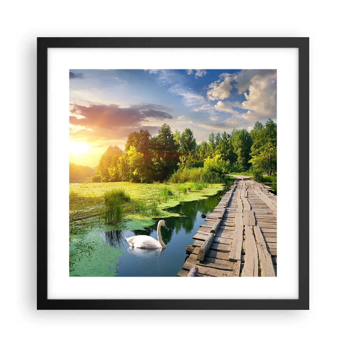 Plakát v černém rámu - Léto, léto všude - 40x40 cm